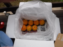 DSCF2682