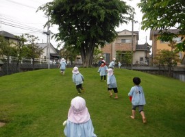 DSCF6261