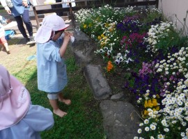 DSCF0856
